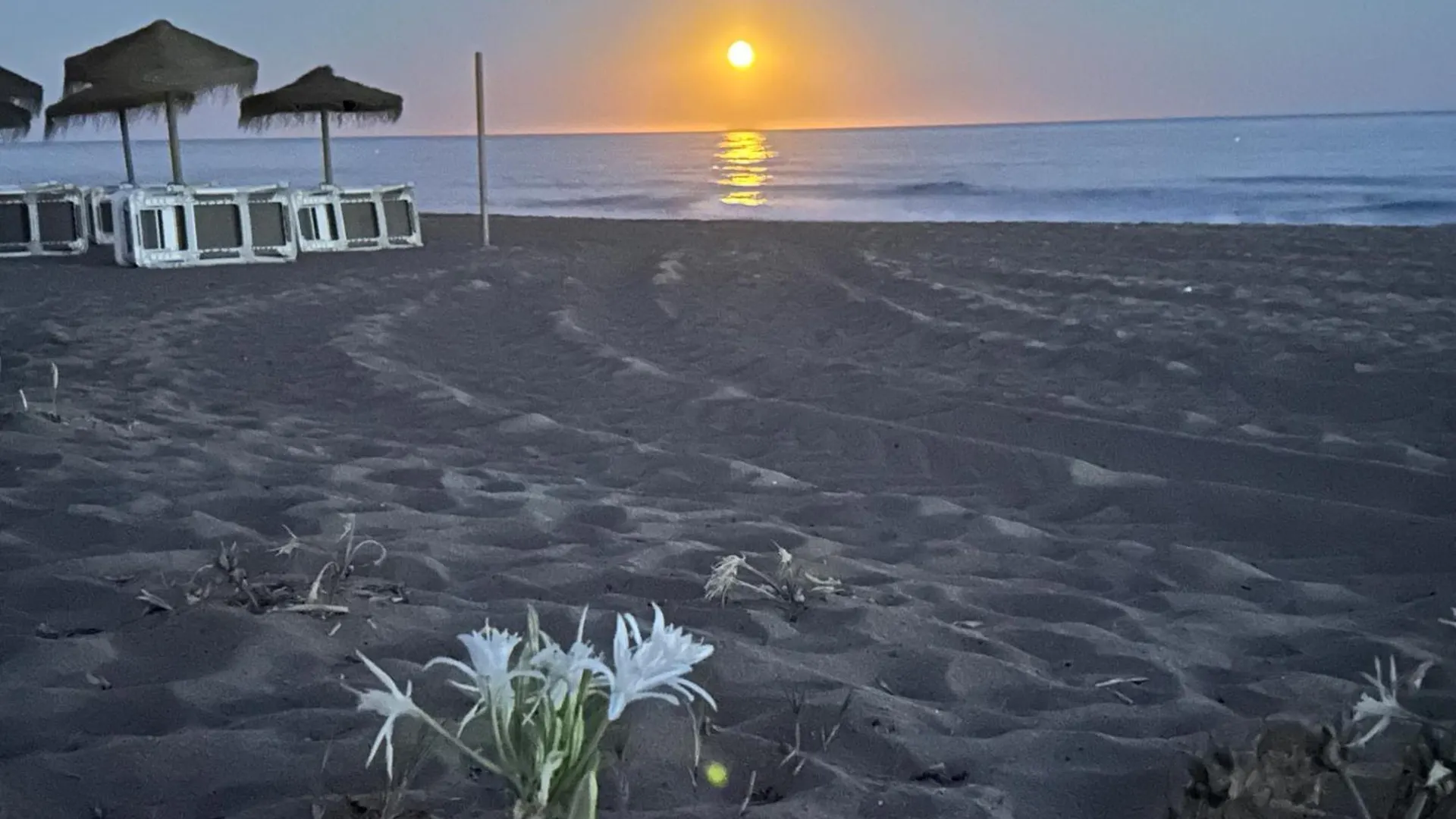 Holiday home Mar Y Arena Villa Sitio de Calahonda
